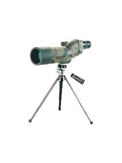 Bushnell Bushnell Sentry 12-36x50 Ultra-cmpct