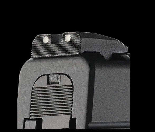 Springfield Springfield XDS 45acp - Black